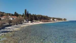 3 star apartment Apartman Dalmatino Sutivan Croatia