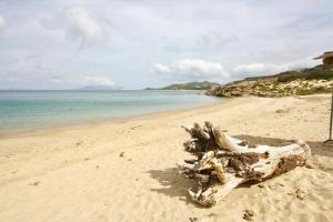 Summer Residence Bunte img16