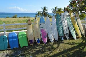 Frangipani Apartment