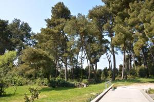 Apartment Manto Free Parking