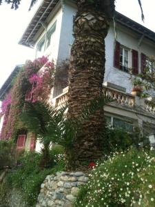 B&B / Chambres d'hotes Castel Enchante : photos des chambres