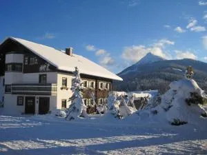 Apartment Deml - Feuersang