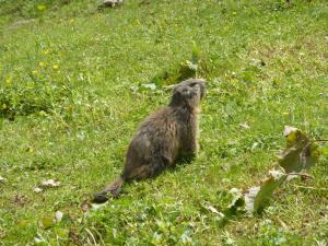 Hotels Les Glieres - Champagny-en-Vanoise : photos des chambres