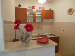 Apartment in Senj 26296