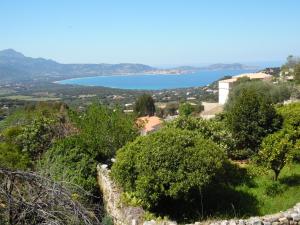 Appartements Studio du Commandant Marche : photos des chambres