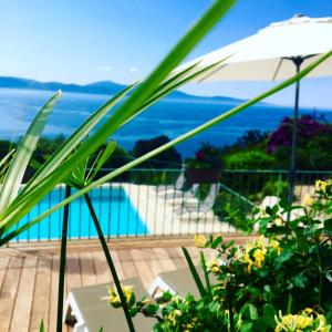 Appart'hotels Residence Roc E Mare Cargese : photos des chambres