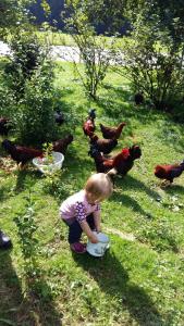 Weinbachbauer - Urlaub am Bauernhof