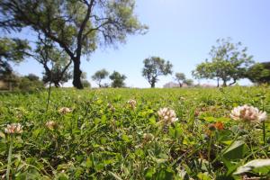 CASA BELAVISTA - BAÍA