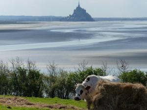 Maisons de vacances Belle Vue : photos des chambres