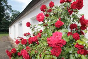 Ferienhaus Huus ton witten Barg