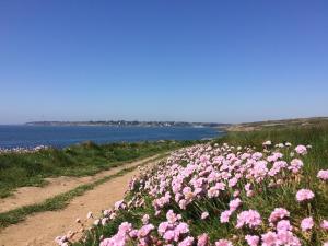 B&B / Chambres d'hotes La Belle Relax - calme et tranquillite assures - 2 personnes : photos des chambres