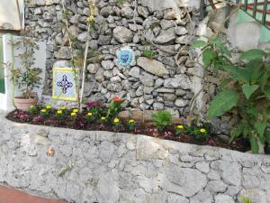 Casa Vacanze Bouganvillea