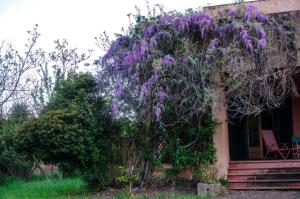 Casa Fondachello