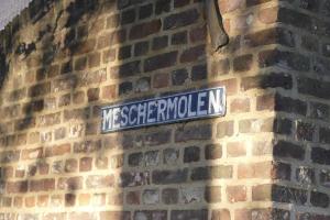Meschermolen 9