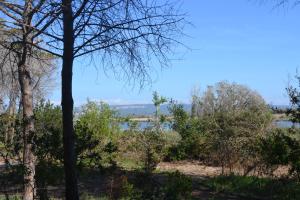 Miramare struttura sulla spiaggia img81