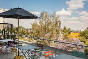 One Guadalajara Expo