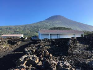 Insula Vinus Apartments