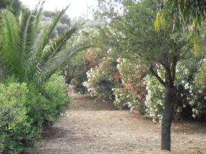 Apartment KoKa Argolida Greece