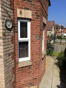 The Custards - 尚克林