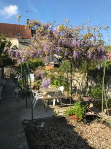 Appartements Gite Ancien Relais de Saint-Jacques : photos des chambres