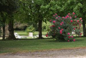 B&B / Chambres d'hotes Le Beguinage : photos des chambres