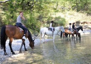 Maisons de vacances Le Rieufroid : photos des chambres