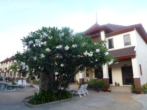 Thai Paradise South 2552