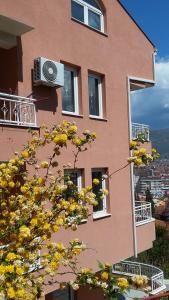 Boris & Matej Apartments