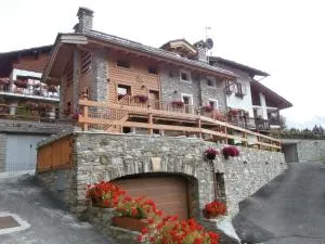 Petites Fleurs Cogne - Cogne