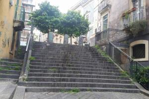 La Discesa di San Camillo