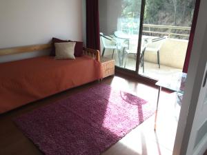 Sporting Summer Holiday