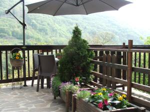 Antica Casa Ortensia