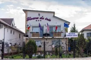 Floare de Iris - Vama Veche