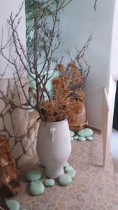 One-Bedroom Apartment (3 Adults) room in Eleni Studios