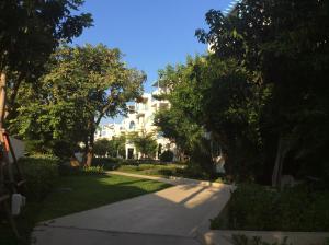 The Chelona pool access by Away