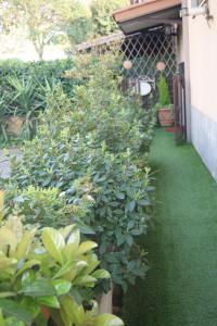 Residenza i Ciclamini