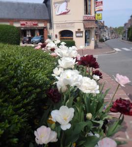 Hotels Hotel Restaurant Le Cygne : photos des chambres