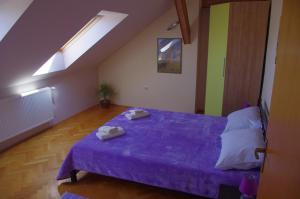 Apartment Tomy