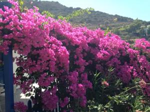 Villa Costa Studios Sifnos Greece