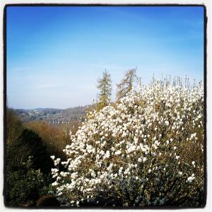 Lindeth Drive, Longtail Hill, Bowness-on-Windermere, Cumbria LA23 3JF, England.