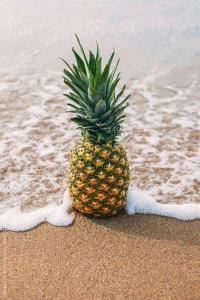 Palmyra Indah Bungalows