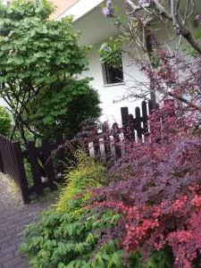 Ground floor,Top level - Albignasego