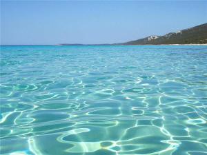 Apartments Sonja Murter Croatia