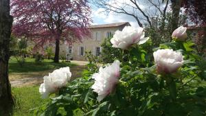 B&B / Chambres d'hotes Domaine du Papillon : photos des chambres