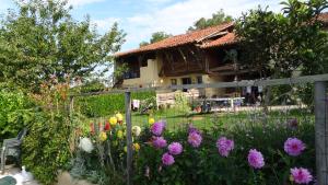 Appartements Gites Pyrenees Les Trois Montagnes : photos des chambres