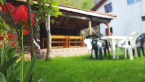 Kirilova House