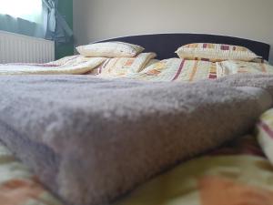 Penzion Vadviraghaz Palkonya Madžarska