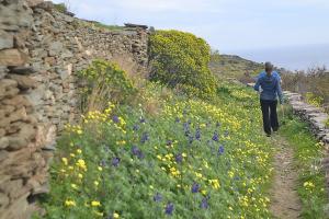 House On the Ancient Footpath Sifnos Greece