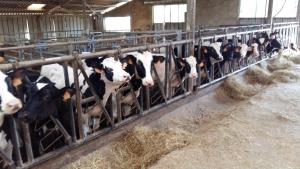 Sejours a la ferme Charmante maison a la ferme : photos des chambres