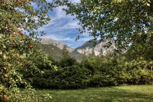 Alexander Mountain-Lodge